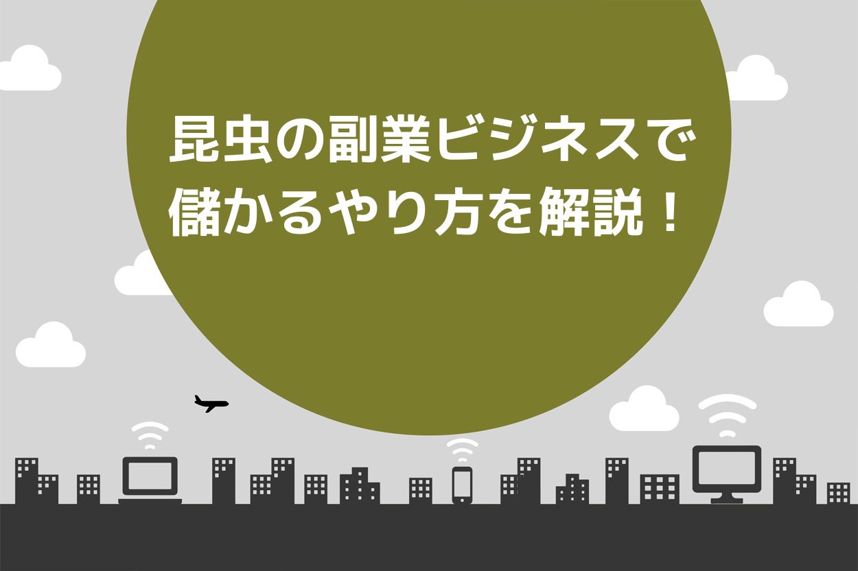 仕組み化可能】昆虫の副業ビジネスは儲かる？売れる種類や便利な