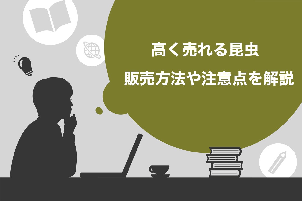 1匹300万円の実績あり】高く売れる昆虫7選！高値で販売する方法や注意点を解説 | Brain Media